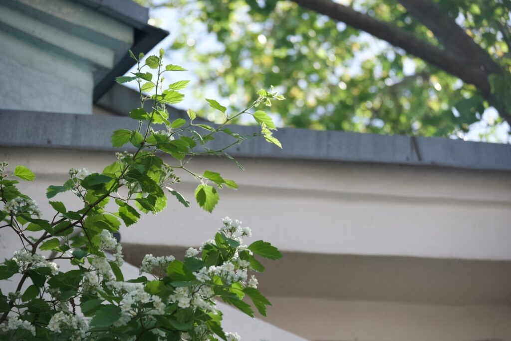 Close-up view of an asphalt shingle roof with noticeable damage and several missing shingles, indicating wear or storm imp...