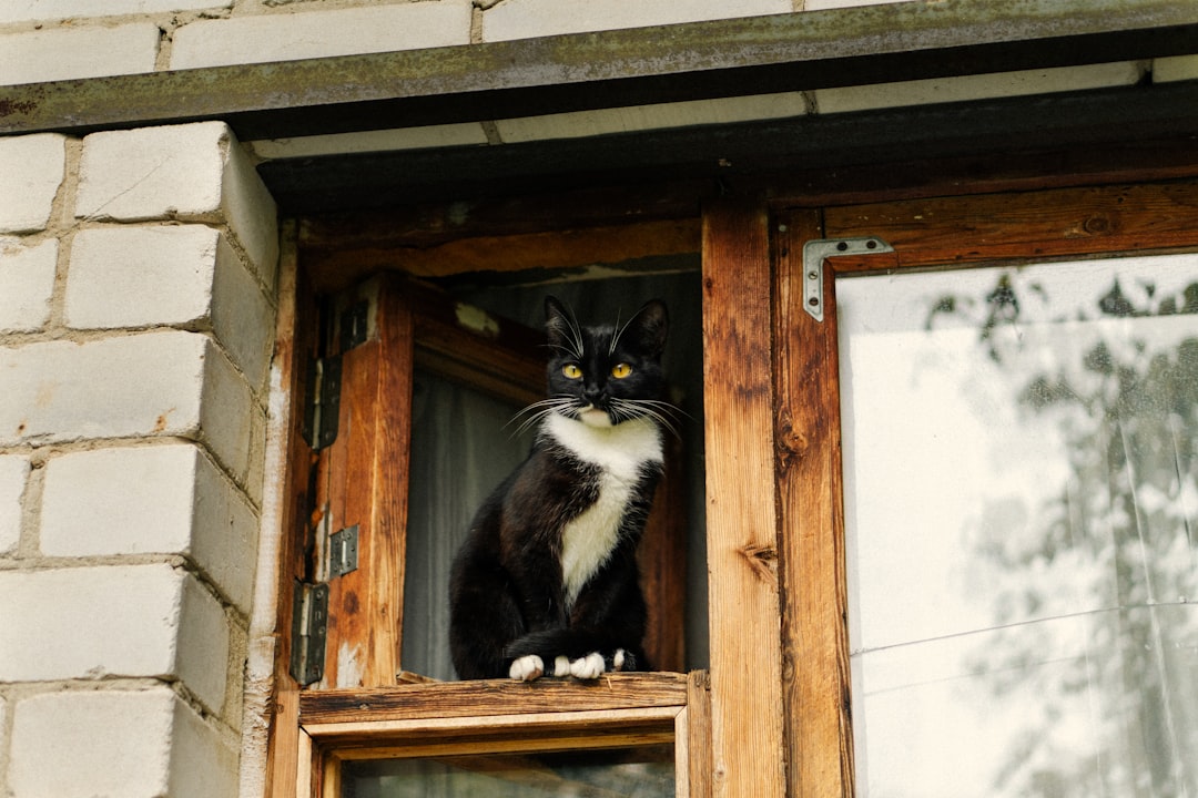 A happy homeowner looking at their secure house, representing the value and satisfaction of a fortified upgrade.. Photo by Дмитрий Рощупкин on Unsplash. A happy homeowner looking at their secure house, representing the value and satisfaction of a fortified upgrade.